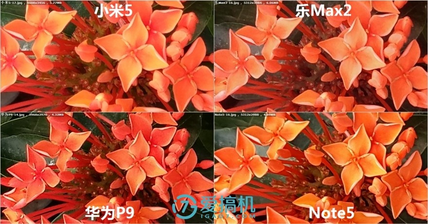 乐max2手机拍照评测,乐max2拍照效果怎么样