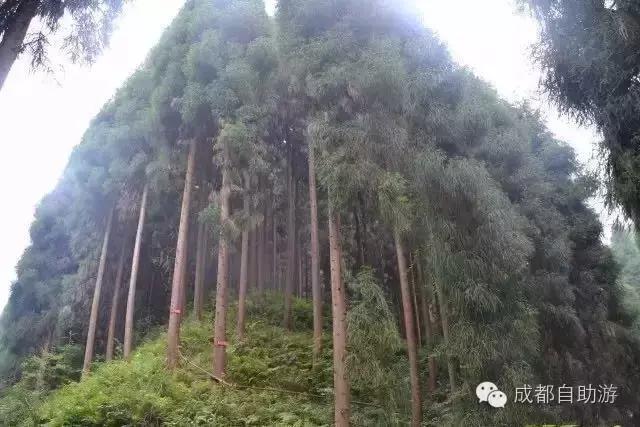 成都周边三日游最佳推荐,成都周边冷门旅游景点2日游