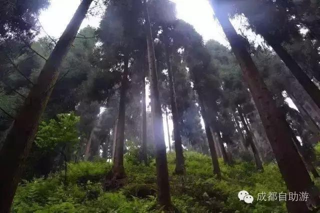 成都周边三日游最佳推荐,成都周边冷门旅游景点2日游