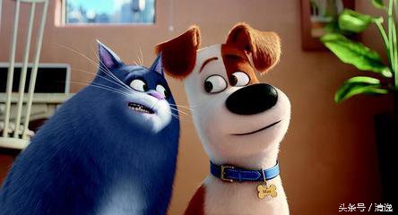 catchmybreath爱宠大机密高燃混剪,动物电影爱宠大机密