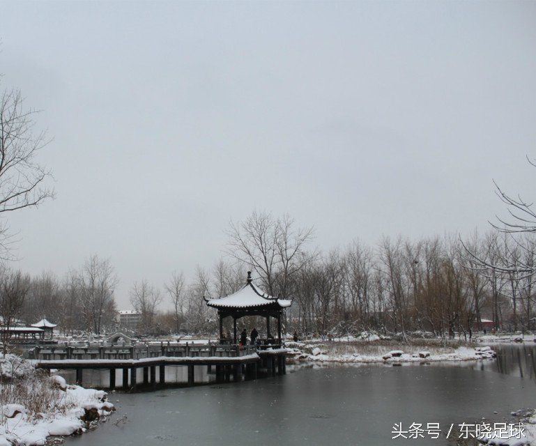 冬亦妖娆夏亦争艳临沂人民公园N分之一角