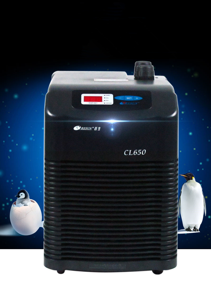 为了降温，东海人什么事情都做得出来