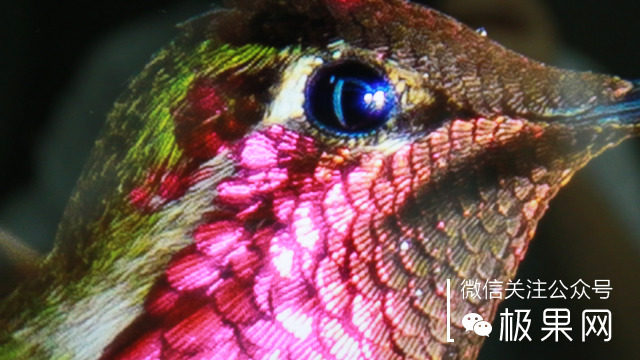 thinkpadx1系列和苹果笔记本的区别,thinkpadx1nano和carbon选哪个