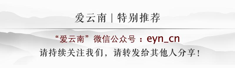 腾冲大救驾美食,腾冲中和镇美食