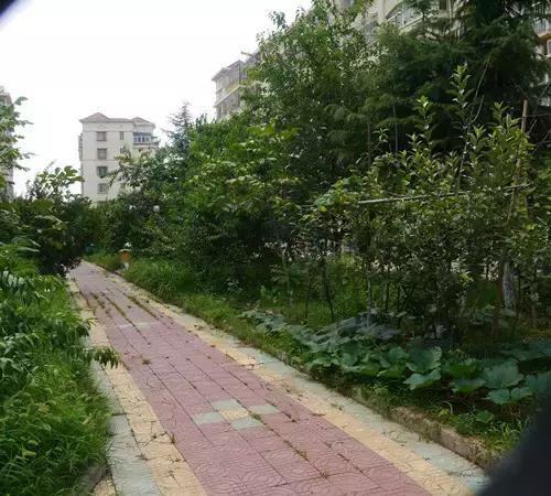 请记住这6个徐州人的名字，里约奥运会他们将为国家而战！致敬！