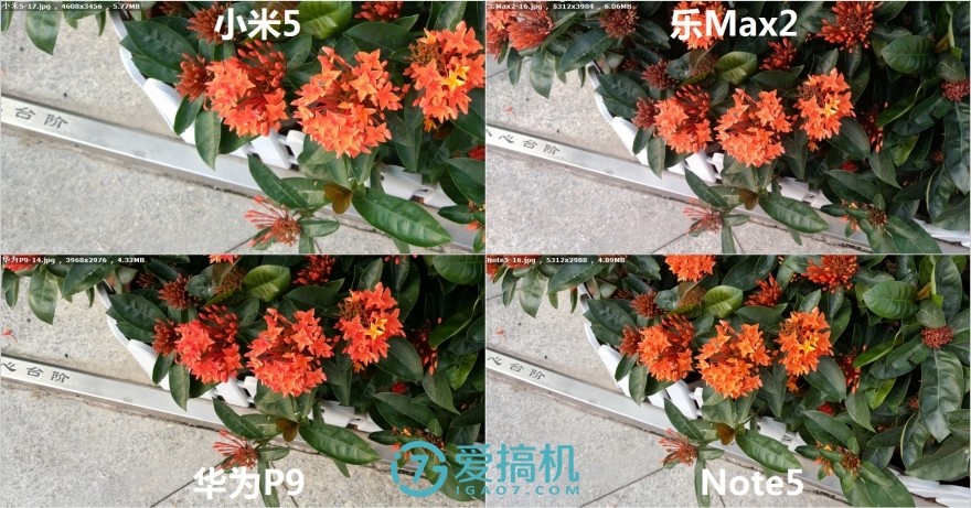 乐max2手机拍照评测,乐max2拍照效果怎么样