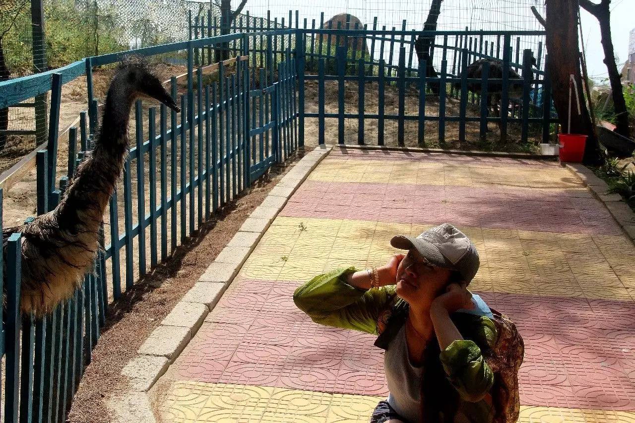 路虎揽胜漳州,揽胜海洋之心