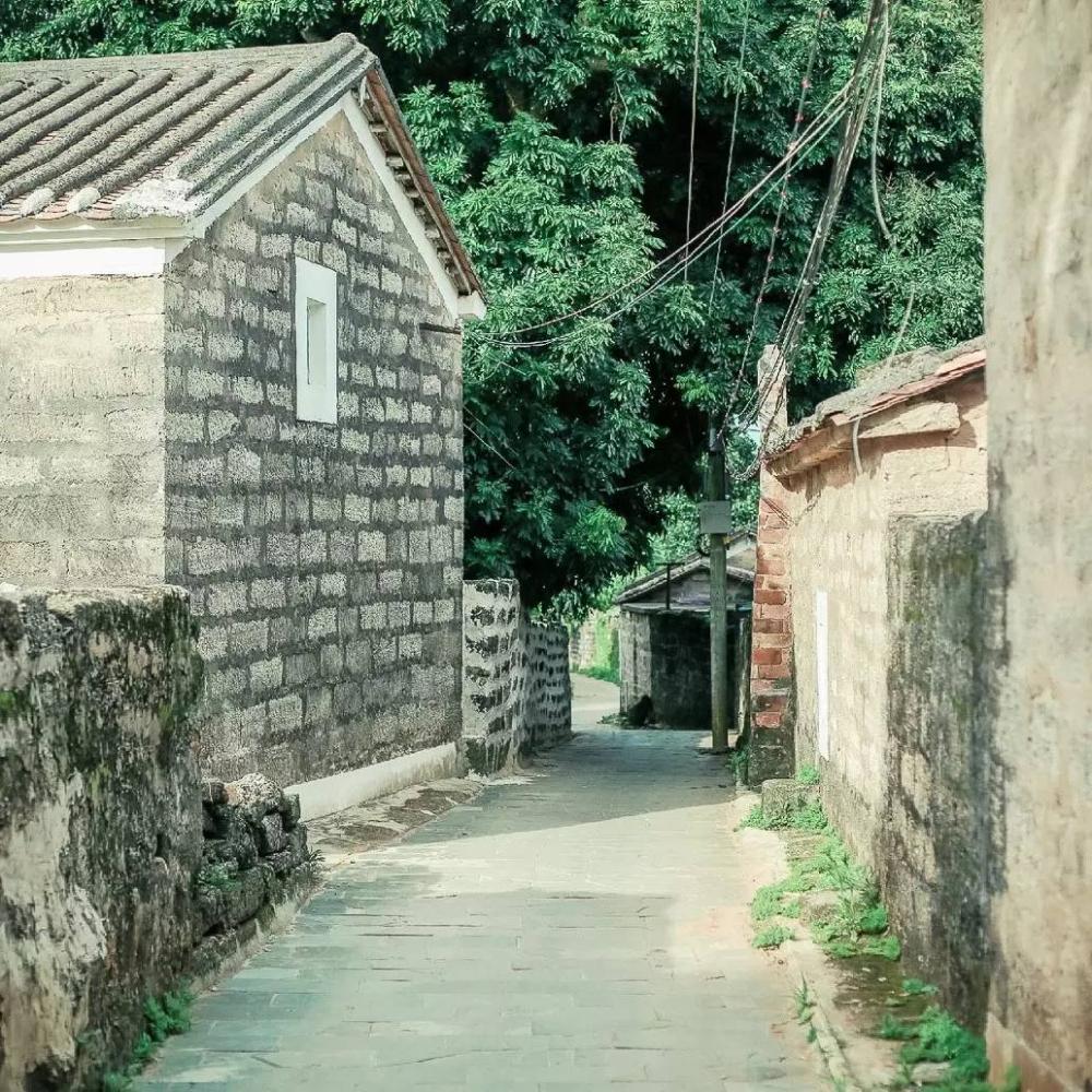 里约大冒险旅行,里约大冒险巴西旅游