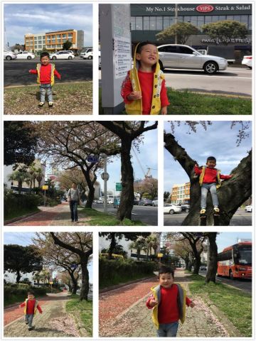 韩国济州岛带娃旅游攻略,首尔和济州岛哪个适合亲子游