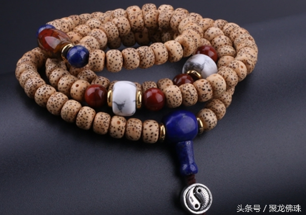 星月菩提寿命多长,星月菩提一般寿命