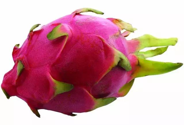 如何挑火龙果分三步,挑火龙果的方法