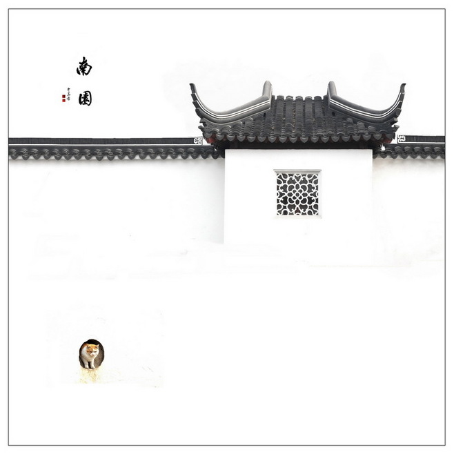 有逼格的相机单反,自用单反相机推荐