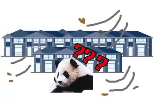 中国运动员里约遭盗抢,2016年巴西奥运会运动员东西被偷