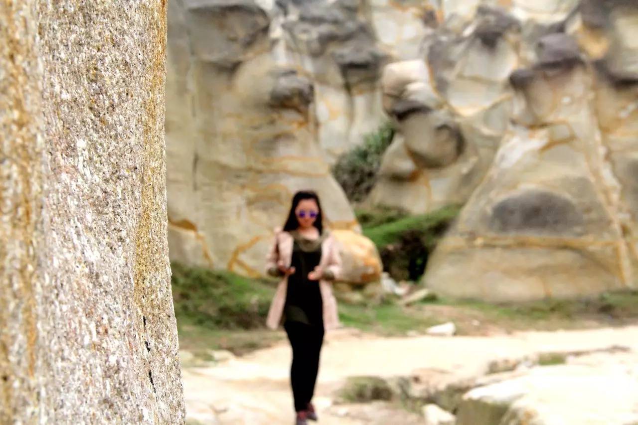 路虎揽胜漳州,揽胜海洋之心