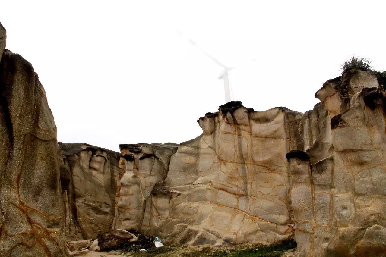 路虎揽胜漳州,揽胜海洋之心