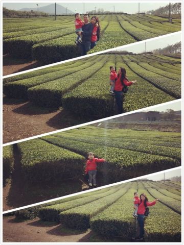 韩国济州岛带娃旅游攻略,首尔和济州岛哪个适合亲子游