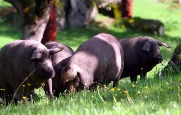 深挖寺库42件美好单品，我知道你想有点酷，但又怕太出格！