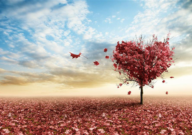 十首中国最美的长篇现代诗,十首现代最美诗