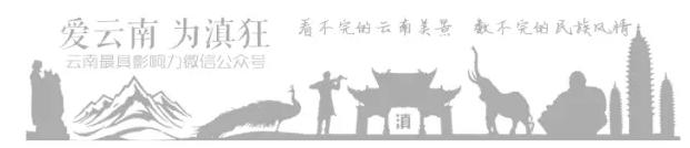 腾冲大救驾美食,腾冲中和镇美食