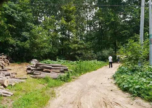 请记住这6个徐州人的名字，里约奥运会他们将为国家而战！致敬！