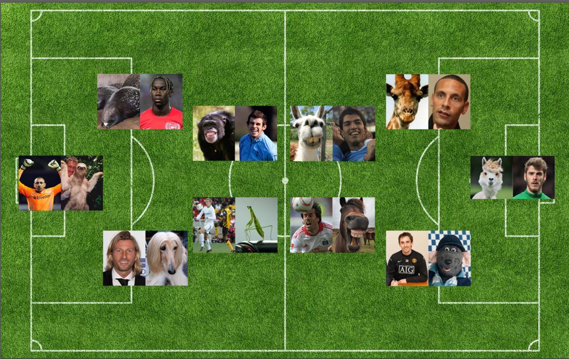 动物也疯狂蚂蚁大战,动物也疯狂双人