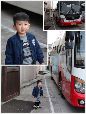 韩国济州岛带娃旅游攻略,首尔和济州岛哪个适合亲子游