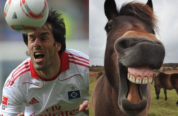 动物也疯狂蚂蚁大战,动物也疯狂双人