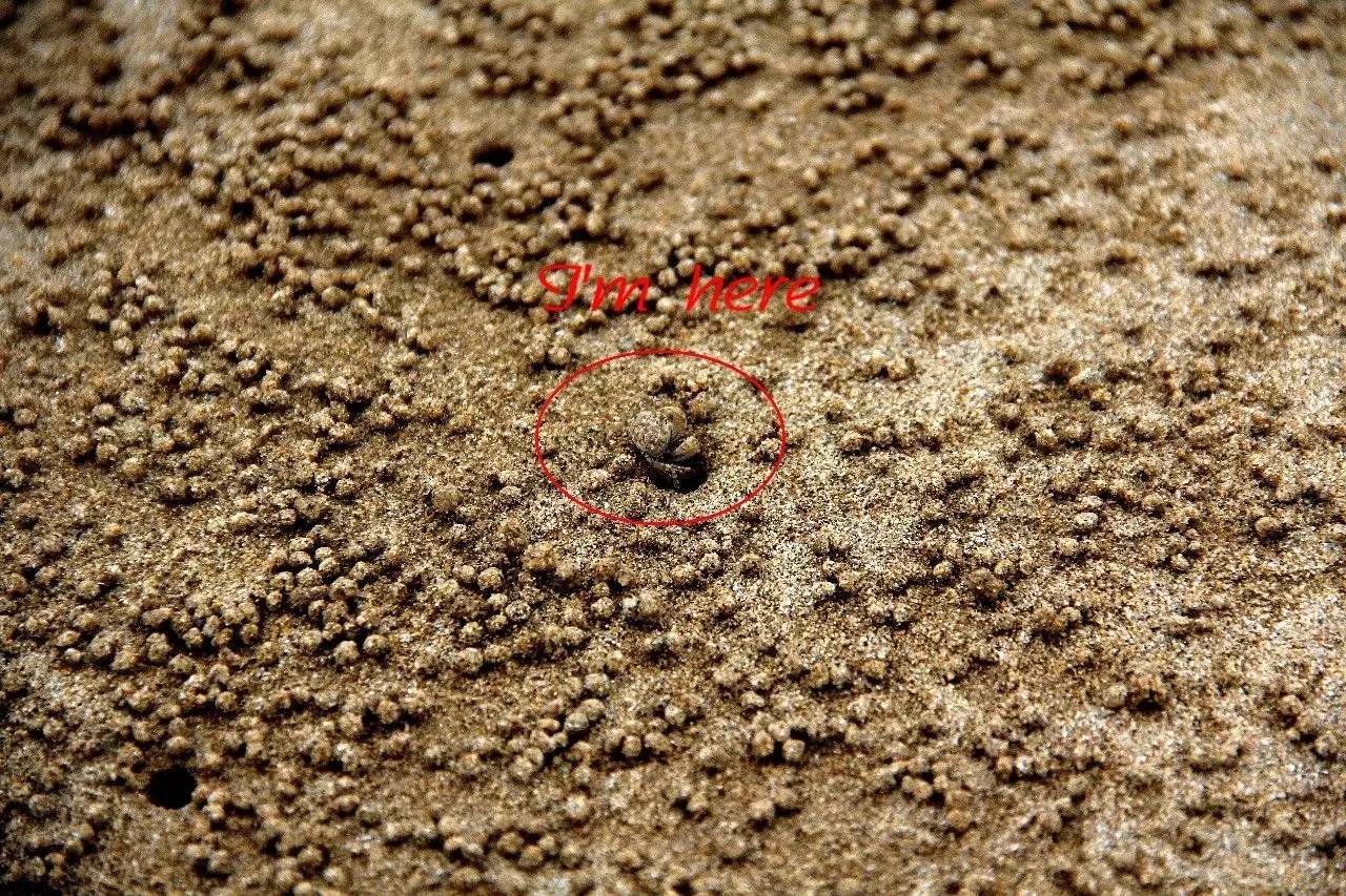 路虎揽胜漳州,揽胜海洋之心