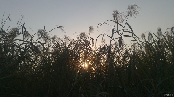 武汉长江四日游攻略路线,清明去武汉旅游攻略一日游