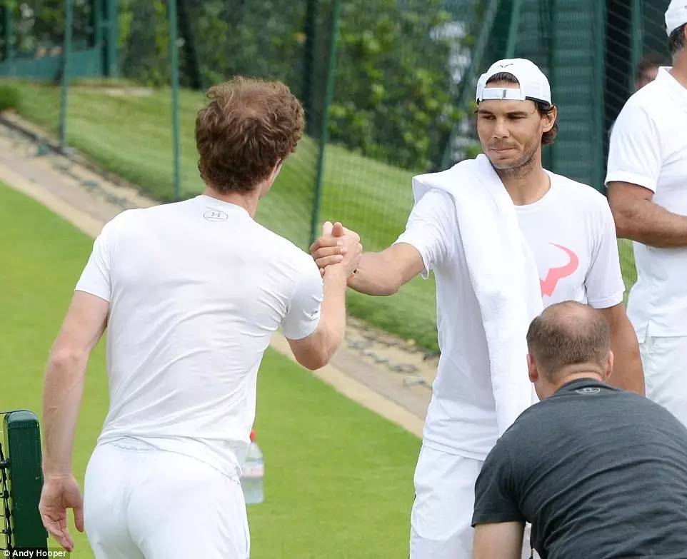 网坛四巨头有多厉害,网坛四巨头同时进大满贯4强