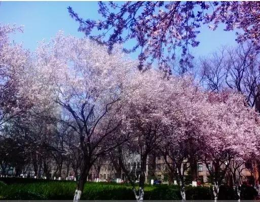 济南11月份有什么好玩的地方,济南春节好玩的地方推荐