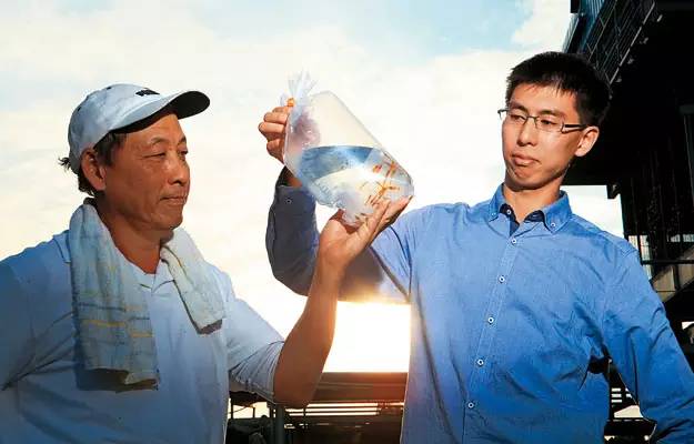 世界第一大淡水鱼类排名,世界第一淡水观赏鱼有哪些