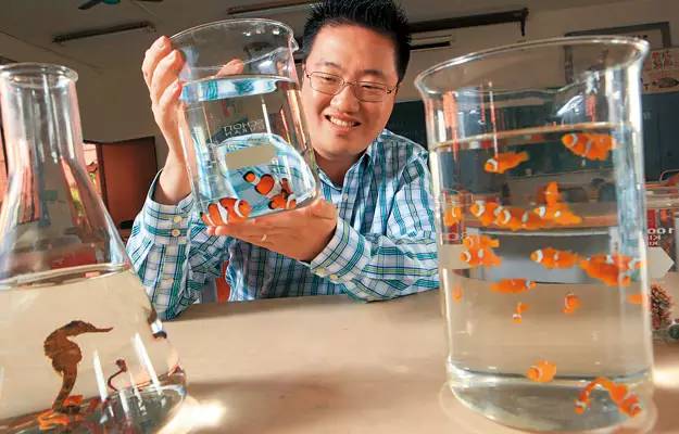 世界第一大淡水鱼类排名,世界第一淡水观赏鱼有哪些