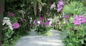 最会吃|八八霍如婚宴菜单明星结婚都吃嘛呀有天津菜好吃吗