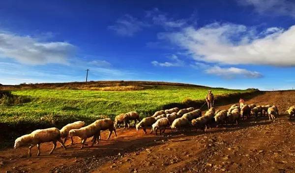 从郑州坐飞机去云南,从郑州坐火车去昆明多少钱