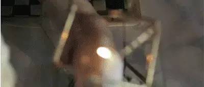 最会吃|八八霍如婚宴菜单明星结婚都吃嘛呀有天津菜好吃吗