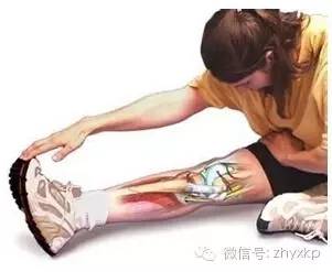 动不动就抽筋肝不好,动不动就要抽筋