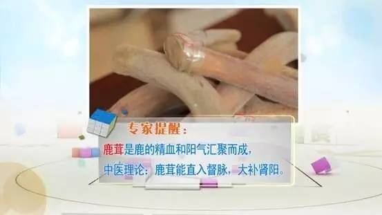 鹿茸滋补讲解,鹿茸在什么季节进补效果最好