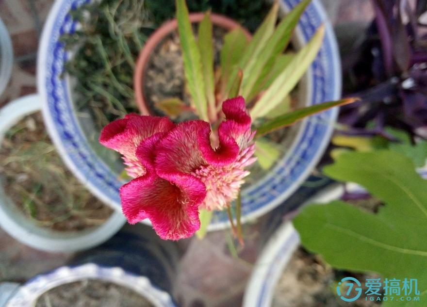 千元机中的青年良品——魅蓝note3体验评测