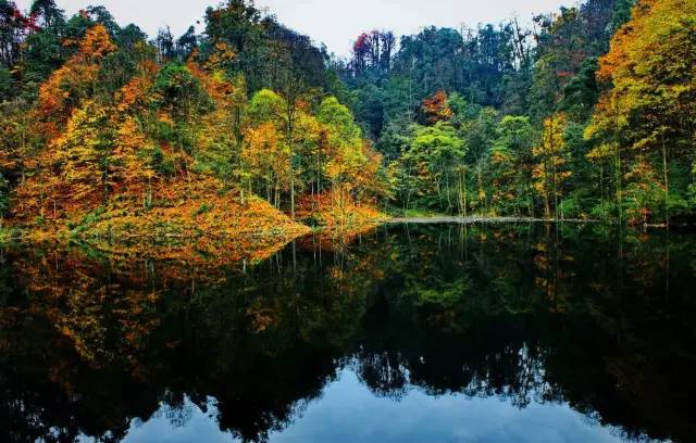 从郑州坐飞机去云南,从郑州坐火车去昆明多少钱