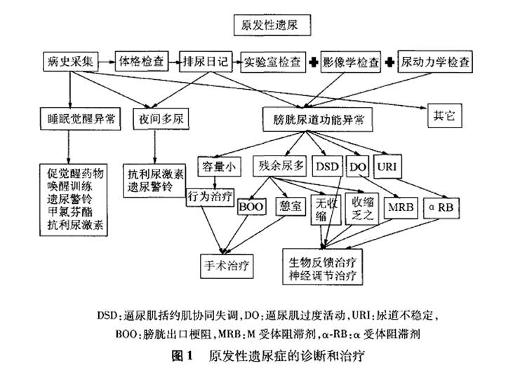 喝多尿床是什么病,10岁尿床是病吗