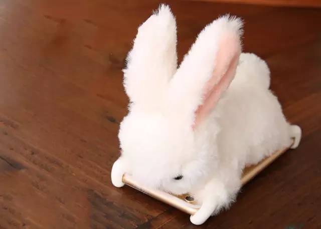 每日星范|范冰冰论手机壳种草狂魔，我只服范爷！