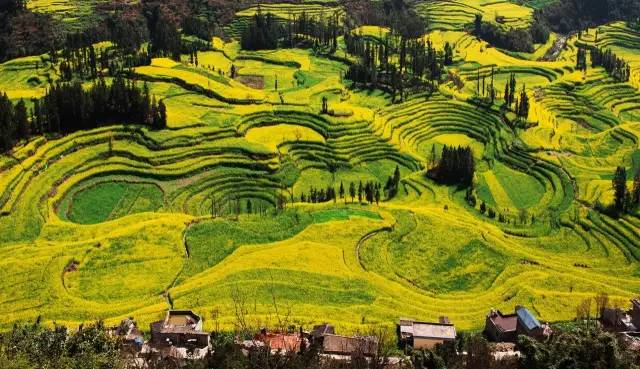 从郑州坐飞机去云南,从郑州坐火车去昆明多少钱