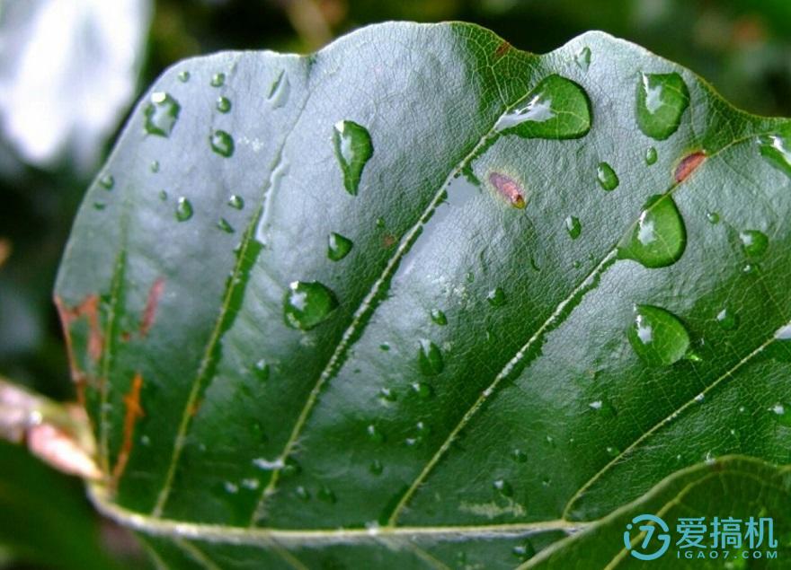 千元机中的青年良品——魅蓝note3体验评测