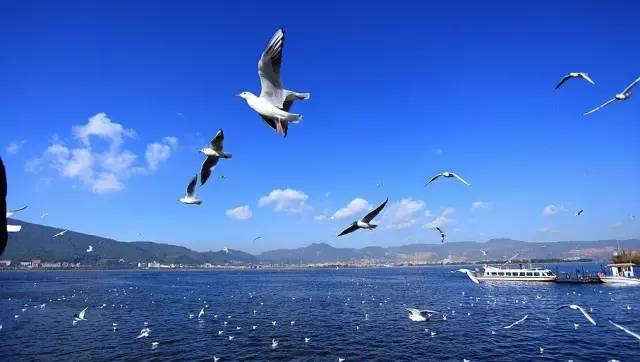 从郑州坐飞机去云南,从郑州坐火车去昆明多少钱