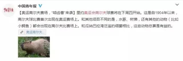 关于里约奥运会的段子,里约奥运回忆经典语录