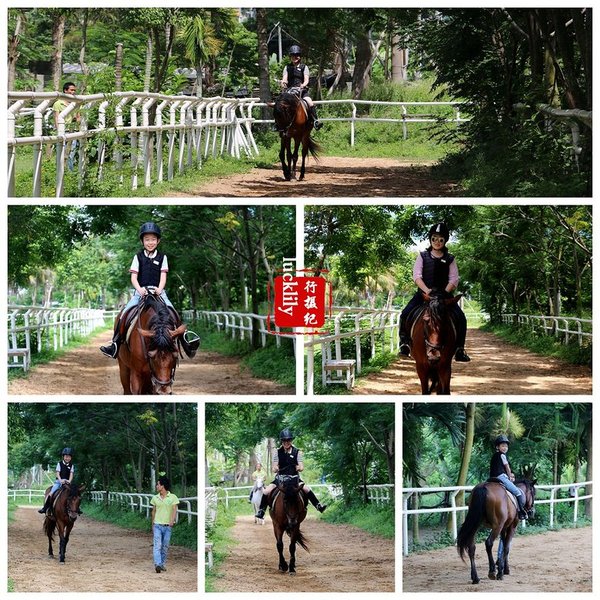 三亚美高梅和海棠湾红树林,海南岛三亚美高梅