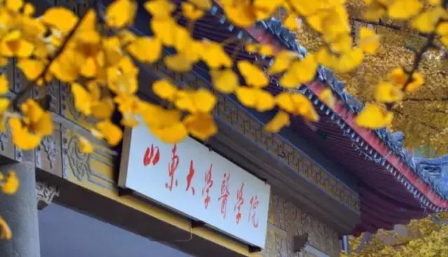 济南11月份有什么好玩的地方,济南春节好玩的地方推荐