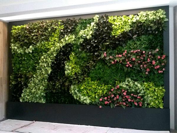 植物屏风,客厅屏风摆什么植物好