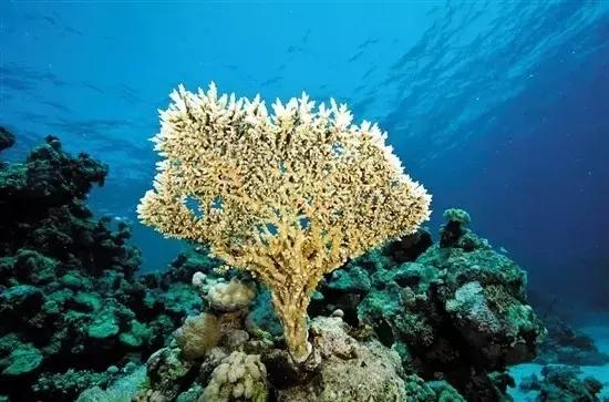 带上相机去看世界,带着相机去看世界